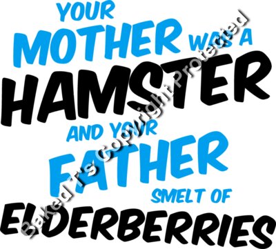 Your mother was a hamster